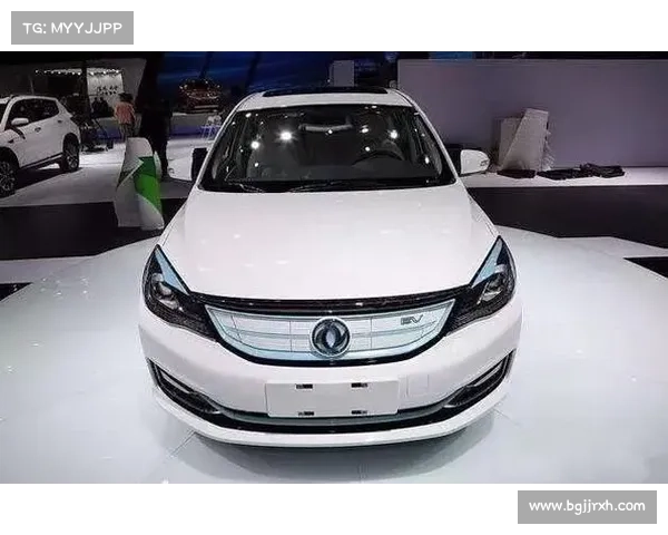 东风帅客新能源:纯电 MPV 的实用之选 东风帅客新能源:纯电 MPV 的实用之选